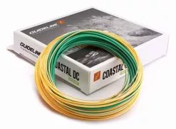 Guideline Coastal Evolv