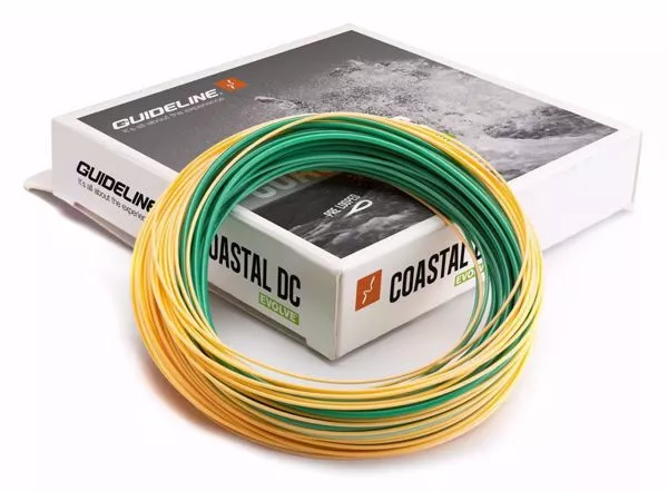 Guideline Coastal Evolv 1 Guideline Coastal Evolv