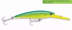 Normark Norway AS RAPALA X-RAP MAGNUM 40 FT/12M 18CM, Dorado