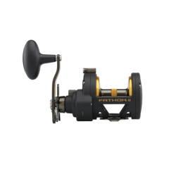 PURE FISHING NORWAY AS Penn Fathom II 30 SD Black Gold